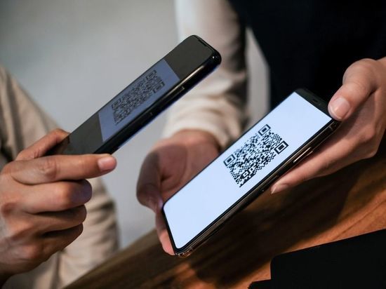 Законопроект о QR-кодах в транспорте снимут с рассмотрения