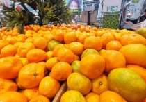 Яркие и ароматные мандарины - какой же Новый год 2022 без этих главных фруктов? Вполне ожидаемо, что в преддверии праздников цитрусовые у хабаровчан пользуются большим спросом