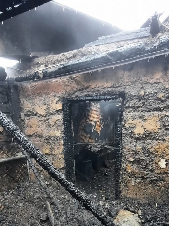 В Тамбовской области при пожаре погиб 27-летний мужчина