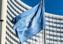 Российская Федерация наложила вето на резолюцию Совета Безопасности ООН по вопросам климата и безопасности
