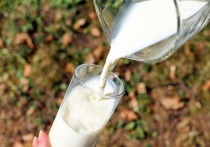 В 2021 году объем поставок молочной продукции из Алтайского края за рубеж увеличился на 33% и составил 1 743 тонны на сумму 4 млн. долларов США
