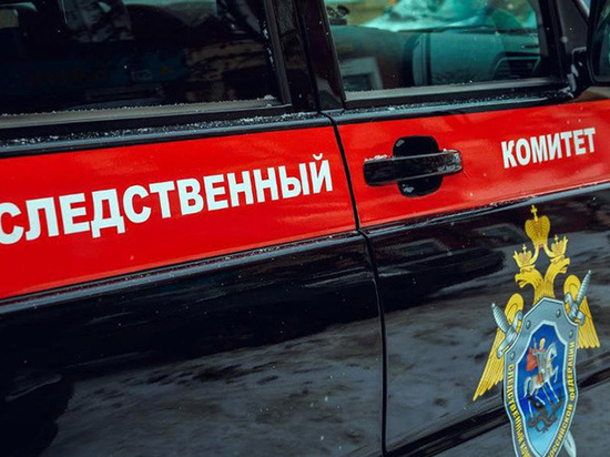 Дебошир избил полицейского в аэропорту Новосибирска