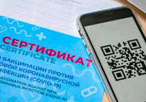В Якутии депутаты поддержали законопроект о QR-кодах в общественных местах
