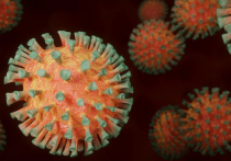 Всемирная организация здравоохранения (ВОЗ) заявила о возможном росте числа госпитализаций и смертей от штамма коронавируса «Омикрон»