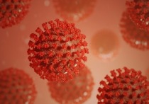 О первом случае нового варианта коронавируса «Омикрон» сообщил материковый Китай