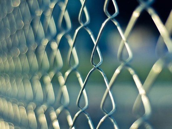 Тюрьма грозит великолучанке за использование поддельных водительских прав