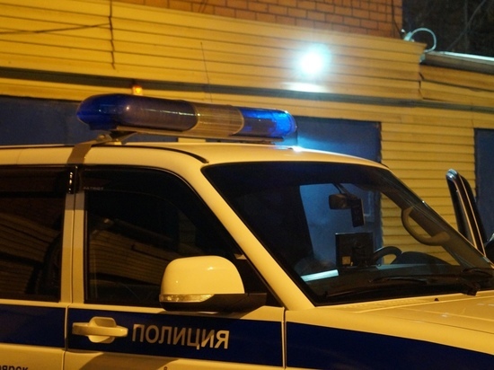 Инспекторы ДПС спасли девушку с ОВЗ и хомячка из огня в Красноярском крае