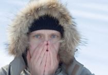 Радоваться оттепели петербуржцам предстоит всего неделю. В центре погоды «Фобос» горожан предупредили о новом визите в Северную столицу морозов — в конце декабря ожидается до минус 15 градусов.