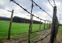 Накануне польские пограничники задержали на границе с Белоруссией четырех человек, которых заподозрили в пособничестве нелегальным мигрантам