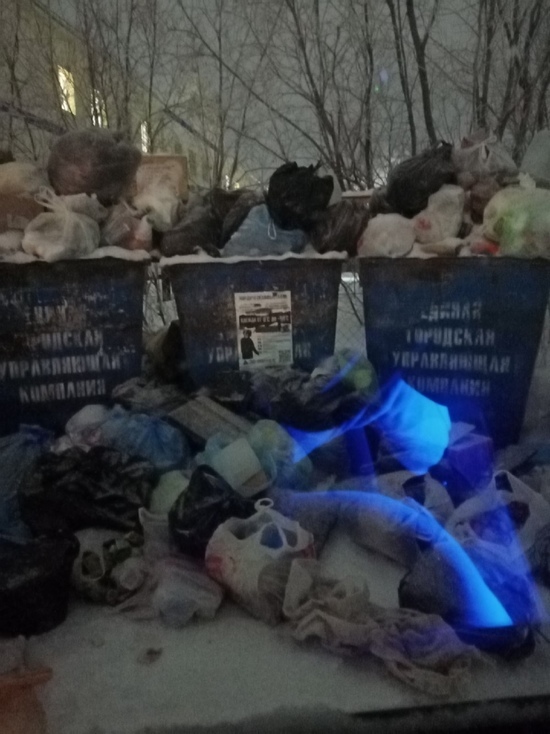 Контейнеры внутри мусора: на отсутствие вывоза отходов жалуются жители Салехарда
