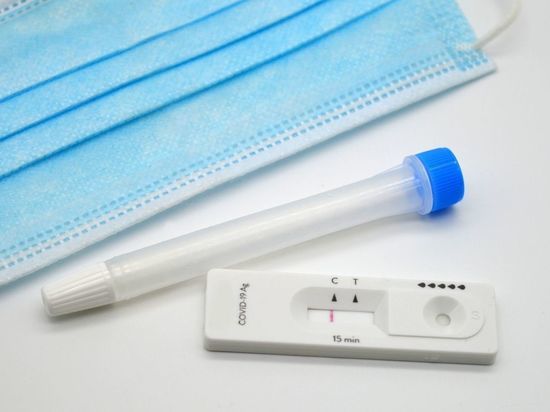В Ленобласти уменьшили до 48 часов актуальность ПЦР-тестов