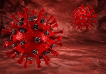 О том, придется ли нам прививаться вечно, какой уровень антител считается надежным для того, чтобы противостоять коронавирусу и как обстоят дела с вакциной от «Омикрона», рассказал во вторник на Общем собрании РАН заместитель директора Центра им
