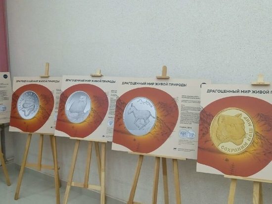 Владимирцы увидят уникальные монеты с животными