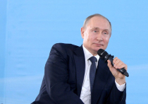 Президент России Владимир Путин заявил, что в отношении промышленных предприятий, которые нарушают экологические нормы, необходимо ввести новые типы мотивирующих наказаний