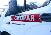 Автопарк пополнили четыре полноприводных УАЗа и шесть машин марки «Газель Next»