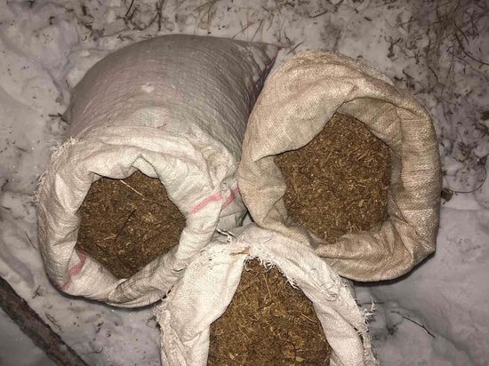 В Туве полицейские в лесу задержали мужчину с 7 кг марихуаны