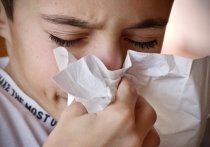 В Республике Марий Эл зарегистрированы три первых случая гриппа.