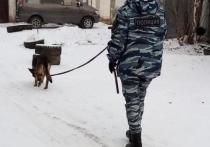 Полицейская собака помогла найти злоумышленника, который 13 декабря украл сумку у 62-летней женщины на улице Королева в Красноярске