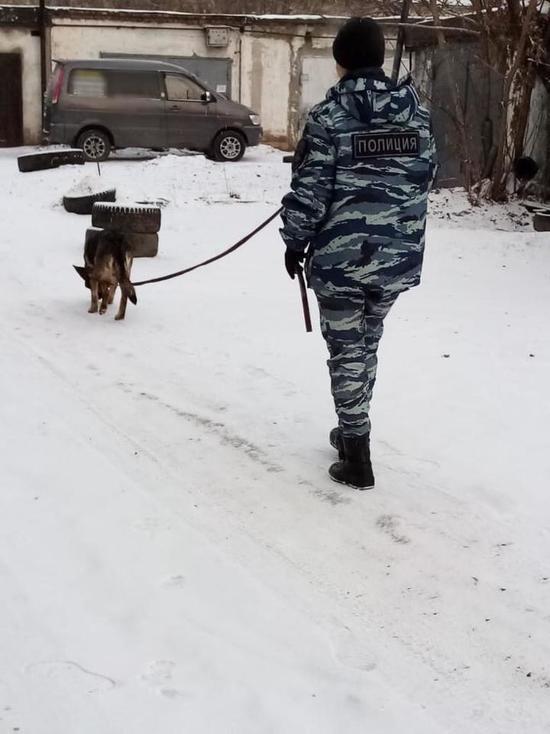 Полицейская собака нашла похитителя сумки 62-летней жительницы Красноярска