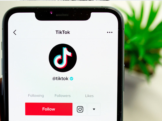 Новгородские берестяные грамоты «оживили» с помощью TikTok