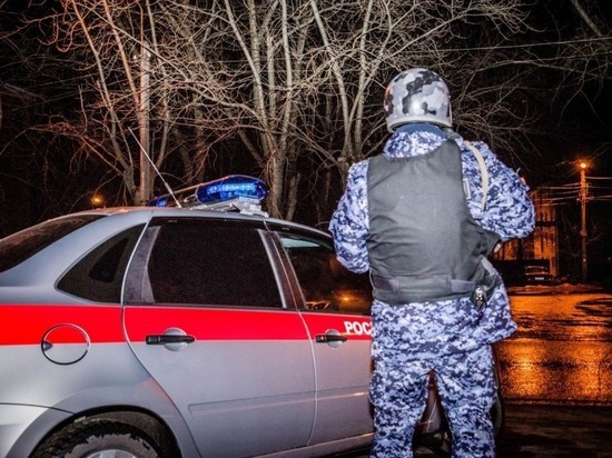 Пензенские росгвардейцы задержали должников за проезд в такси
