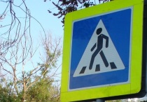 В Белгородской области за 11 месяцев этого года произошло 223 ДТП с участием пешеходов
