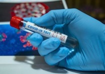 Китайские ученые выяснили, сколько процентов заразившихся коронавирусом переносят его без симптомов.