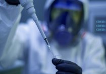 Вирусолог Петр Чумаков заявил, что штамм коронавируса "Омикрон", который ранее был обнаружен в ЮАР и теперь стремительно распространяется по миру, мог быть создан искусственно