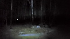 Появились кадры с места гибели студента в лесу под Челябинском