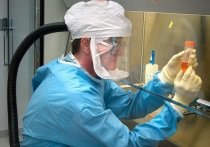 Иммунолог Николай Крючков высказался по вопросу версии о том, что штамм коронавируса "Омикрон" мог быть создан искусственно, чтобы эпидемия закончилась