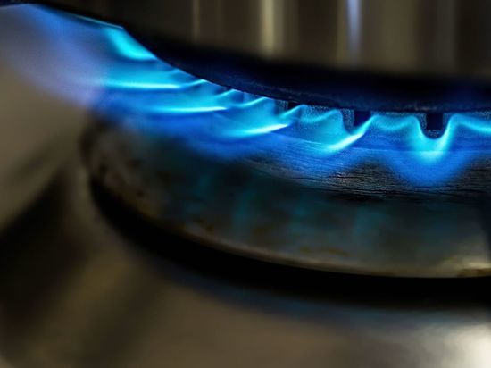 «Газпром» объявил о строительстве газопроводной сети в 15 районах Ленобласти