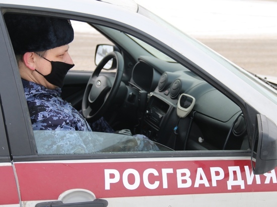 Бойцы Росгвардии задержали в магазине в Киришах грабителя с двумя кухонными ножами