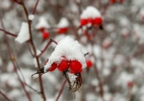 В четверг, 16 декабря, температура воздуха в Белгородской области понизится до 6 градусов мороза