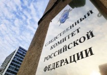 Томского экс-депутата Сергея Агеева обвинили в обмане четы пенсионеров на 1200 тысяч рублей