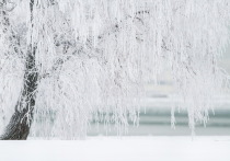 В четверг, 16 декабря, в Республике Бурятия сохранится холодная погода