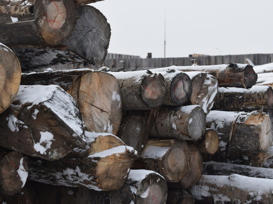 В Бурятии вводятся новые правила хранения древесины