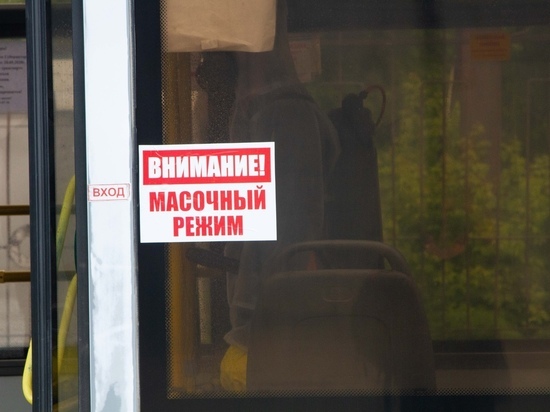 Школьникам Новосибирска разрешат бесплатно ездить на транспорте