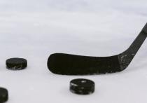 В Ногликах, в местной "элитной" гимназии, две восьмиклассницы принесли на уроки хоккейную клюшку и избили ей свою сверстницу