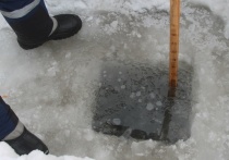 В Камне-на-Оби открыли первую в Алтайском крае ледовую переправу