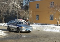 В Екатеринбурге на ВИЗе мальчик по имени Степан чистит улицы ото льда