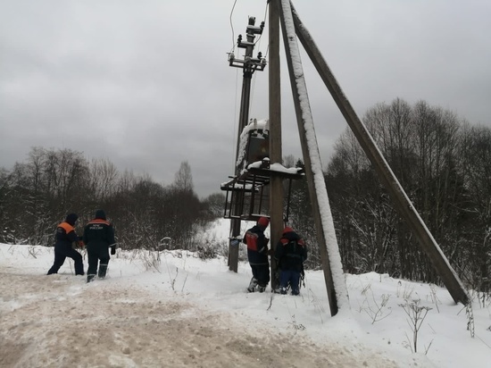 Под тяжестью мокрого снега в Новгородской области рвутся провода и падают деревья