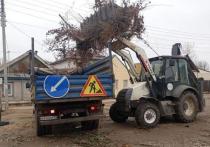 Жители Астрахани продолжают складировать мусор там, где им вздумается