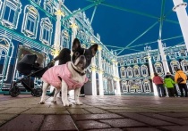 Власти Белгорода подумывают о том, чтобы сделать Эрмитаж в парке Победы круглогодичным
