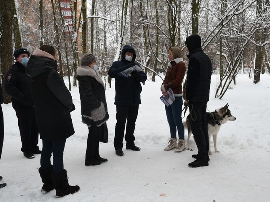 Собаки в Серпухове будут гулять в соответствии со строгими правилами