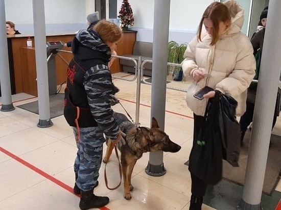 Необычные сотрудники приступили к охране колледжа в Серпухове