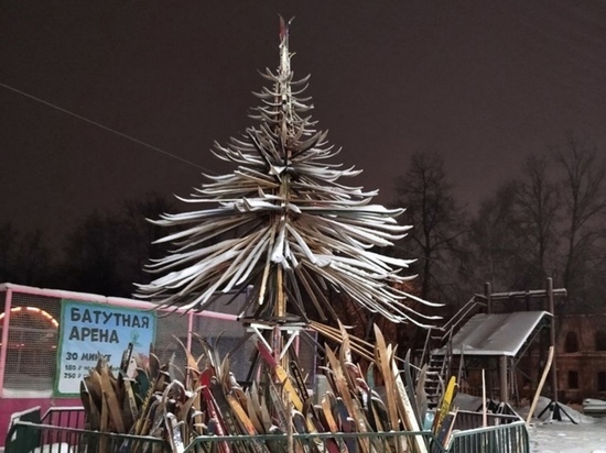 В Рыбинске начали собирать «лыжную» елку