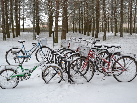Смоленск ждет пасмурная и сырая пятница