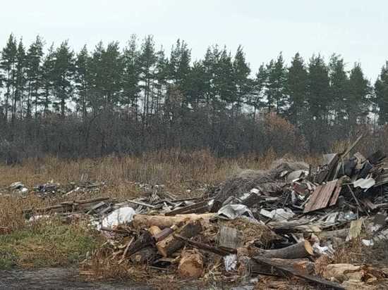 В 33 регионе оштрафовали очередное село за свалку