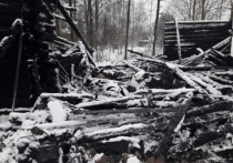 Костромские трагедии: в деревне Могучево Антроповского района погиб пожилой мужчина