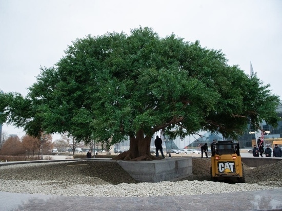3D копию благословенного дерева установили в Грозном